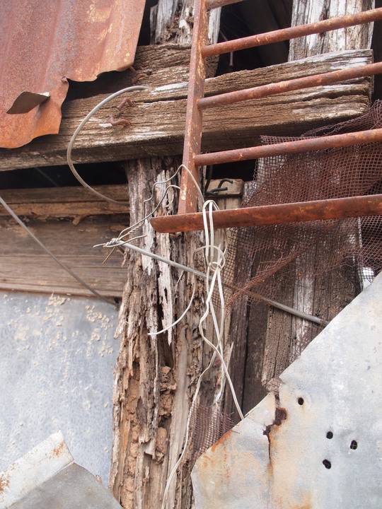 H0276 EUCALYPTUS DISTILLERY LHA 2015 6.JPG