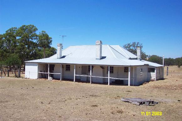 H0361 Kongbool Balmoral 1st 2345
