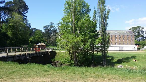 Whole site 2015.jpg