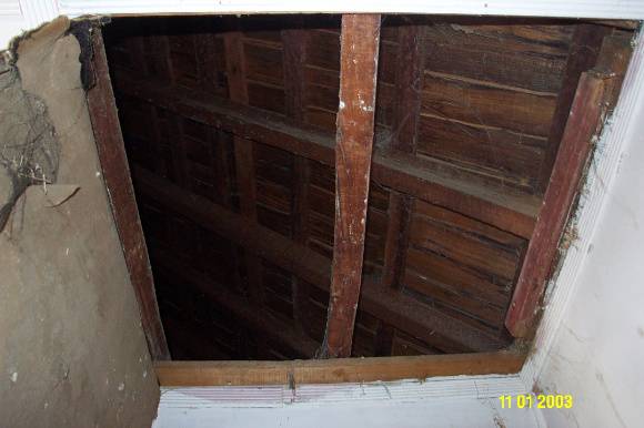 H0361 Kongbool Balmoral 1st shingles 2362