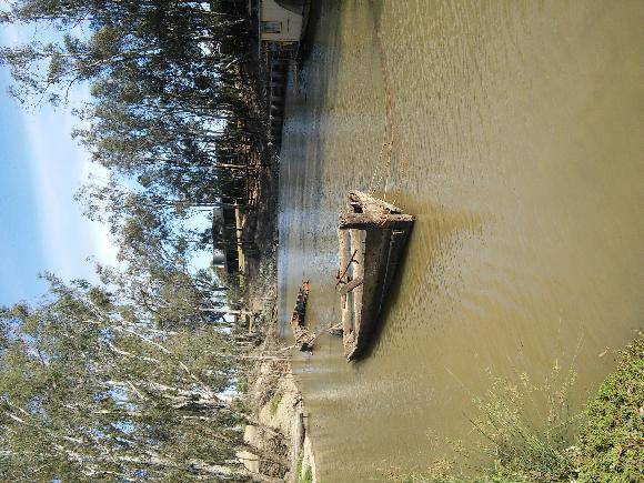 20151005_Echuca wharf Wet Dockand B22 Barge 1.jpg