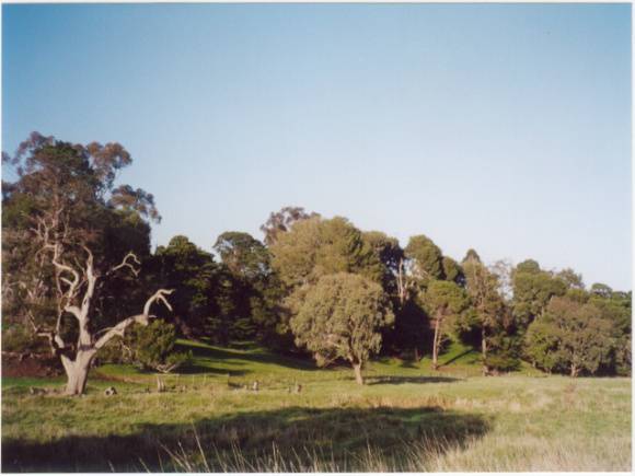23197 Copy of Konongwootong Creek Homestead