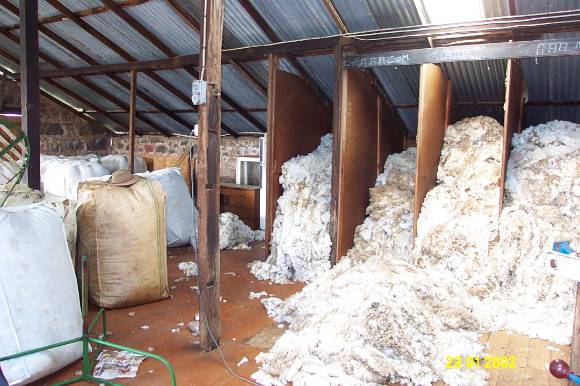 23190 Lyne Homestead Byaduk North woolshed 1446