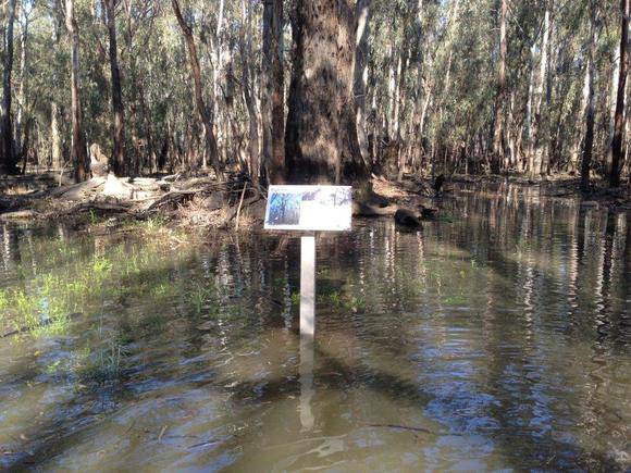 Cohuna Gunbower Island September 2013 027.jpg