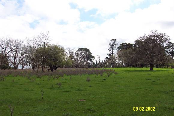 23071 Monivae original site Hamilton Port fairy Rd 1472