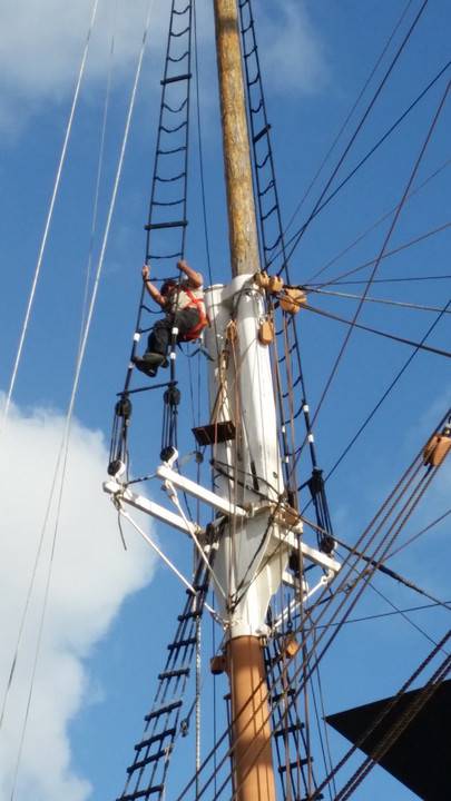 During Photograph - Reference F3930 2015