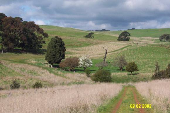 23431 Mt Koroit Homestead original site Coleraine 1477