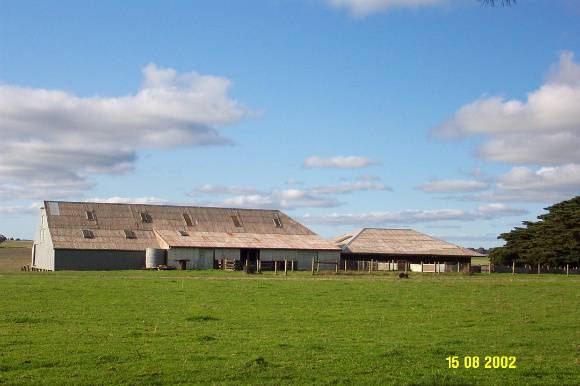 23420 Mount Koroite Homestead Coleraine woolshed 1290