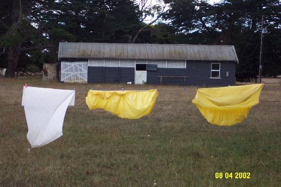 23216 Murroa Buckley s Swamp stables 0685