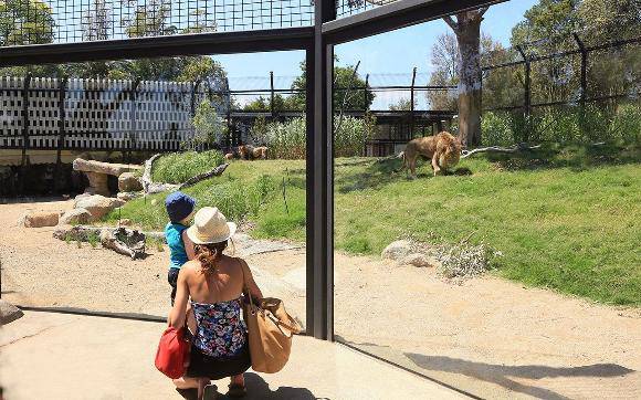 Lion Gorge  2017.jpg