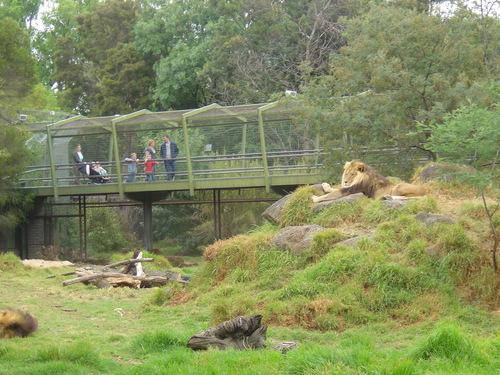 Lion enclosure prior to demolition  2014.jpg
