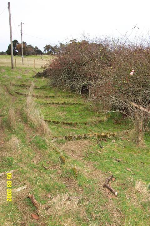23436 Old Bilpah Glenthompson front garden 1209
