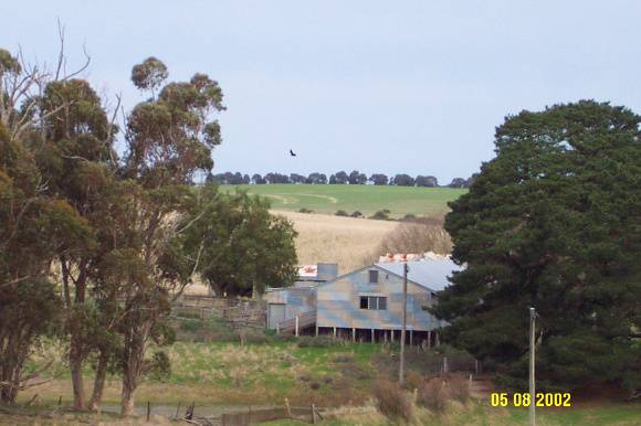 23436 Old Bilpah Glenthompson woolshed etc 1216