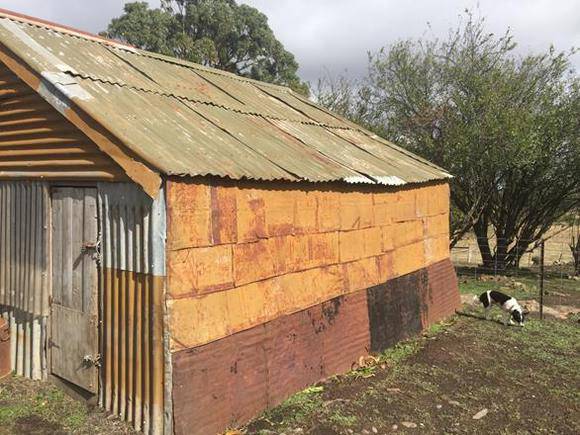 2017, shed, kerosene can cladding.jpg