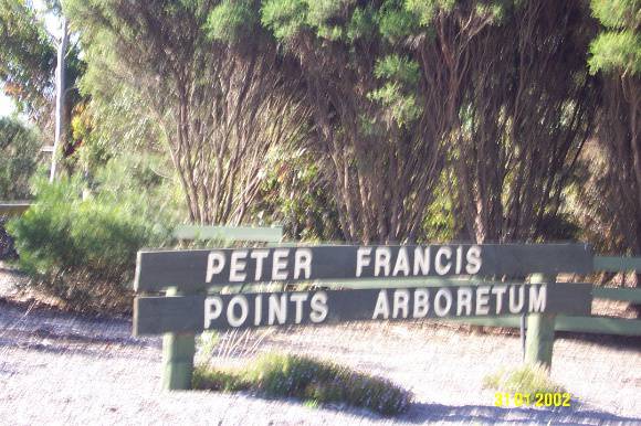 23070 Peter Francis Arboretum Coleraine 0463