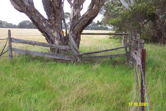 23142 Post and rail fence Bochara 0082