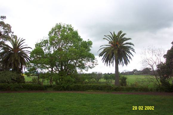 23435 Skene Homestead Strathkellar garden 1564