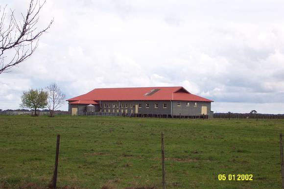 23422 Sleat Bank Yulecart woolshed 1367
