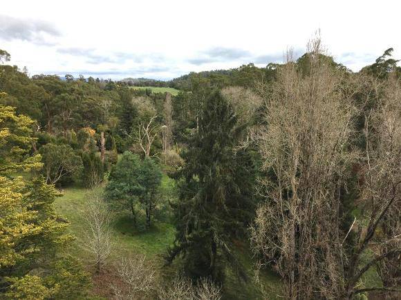 2017, across Maroondah Park.jpg