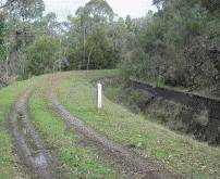 2011, white painted guide posts.gif