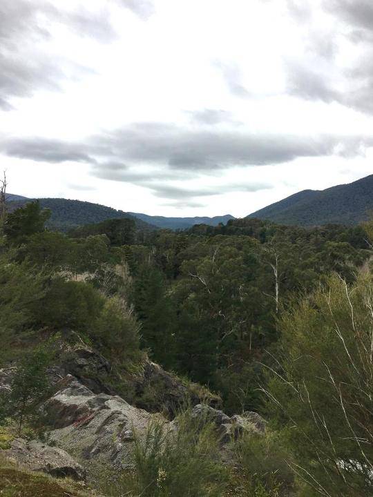 2017, part of closed catchment.jpg