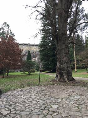 2017, Maroondah Reservoir Park.jpg