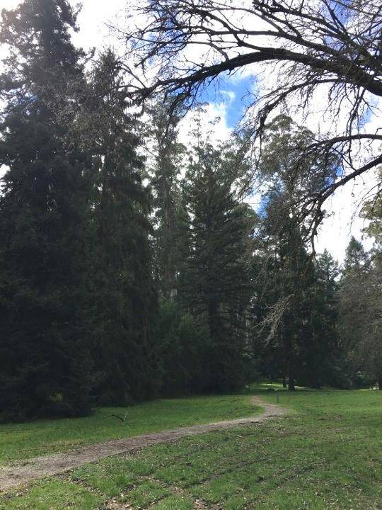 2017, Fernshaw.jpg