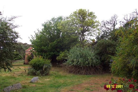 23162 Spring Vale brick section and garden 0230