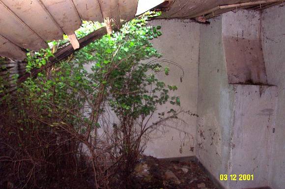 23162 Springvale Coojar timber section 0222