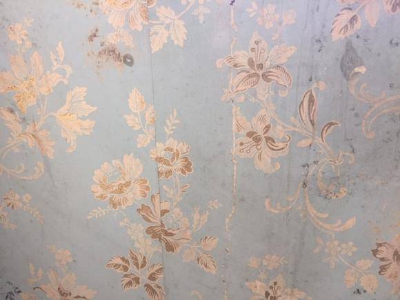 Photo_1.JPG Sample of remnant original wall finish to Room1.138 (south
west wing) dating to 1880-81.