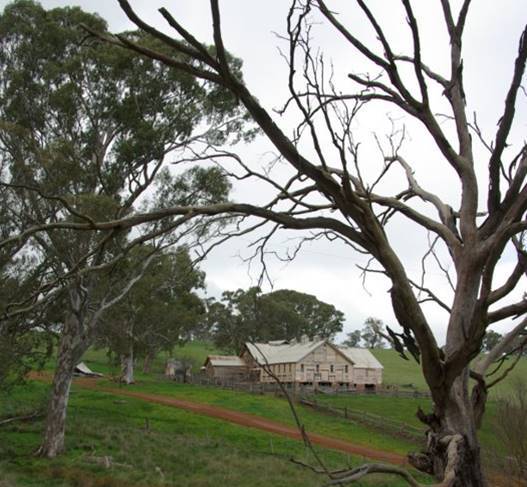 2018, Woolshed.jpg
