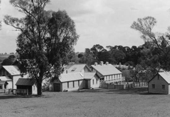 1968.jpg