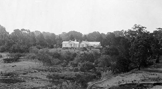 1900, homestead.jpg