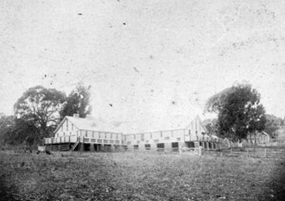 1900 woolshed.jpg