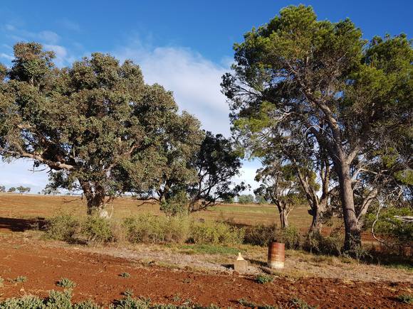 Image of Staughton Infant Grave 2018