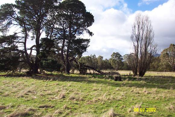 23407 Victoria Lagoon Homestead 1173