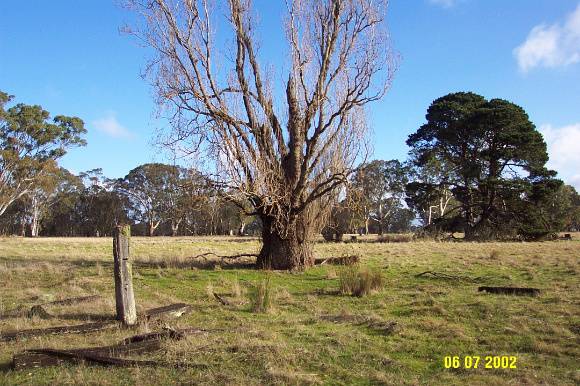 23407 Victoria Lagoon Homestead 1174