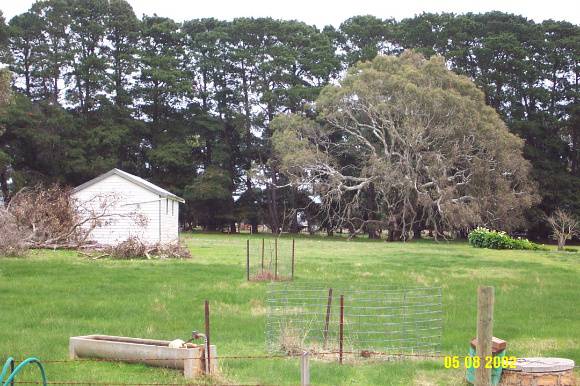 23399 Wintoc Glenthompson stables 1198
