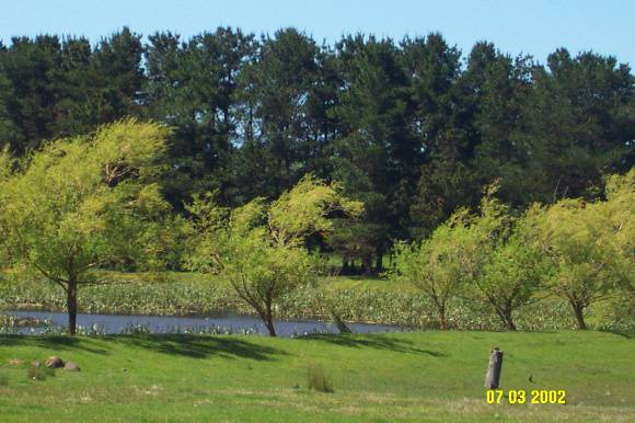 23426 Woodhouse dam   lake 1749