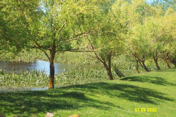 23426 Woodhouse dam   lake 1750