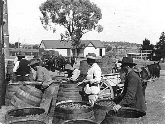 1907.jpg