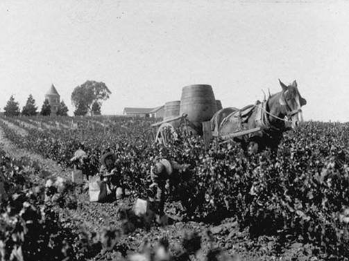 1907b.gif