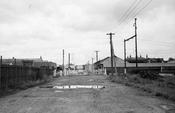 Phoenix Street.jpg