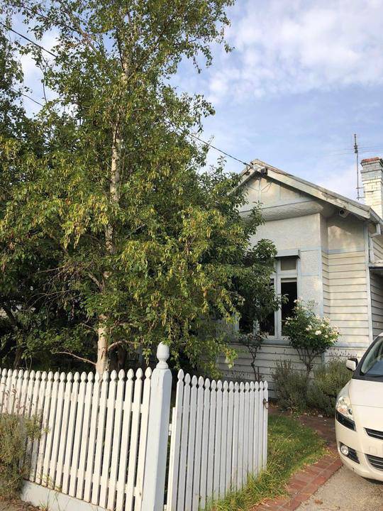 51 Ewart Street, Malvern