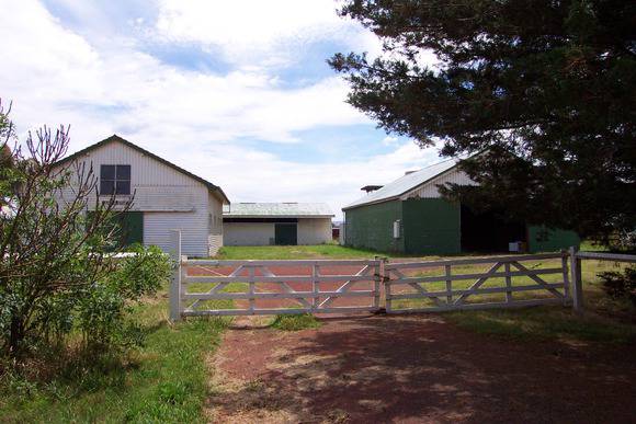 DCP_0080.JPG