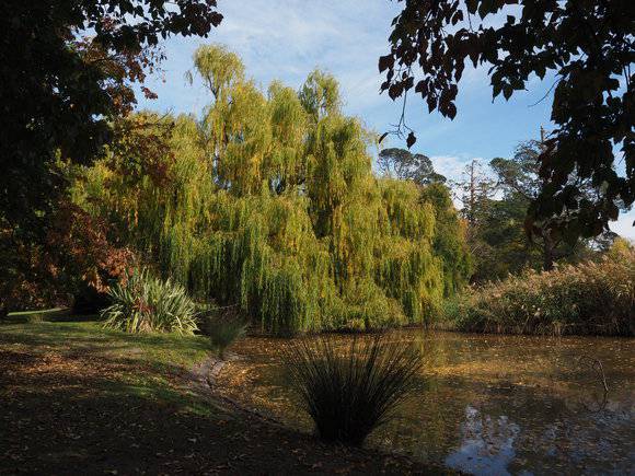 MALMSBURY BOTANIC GARDENS 2020