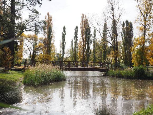MALMSBURY BOTANIC GARDENS 2020
