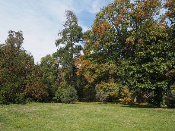 MALMSBURY BOTANIC GARDENS 2020