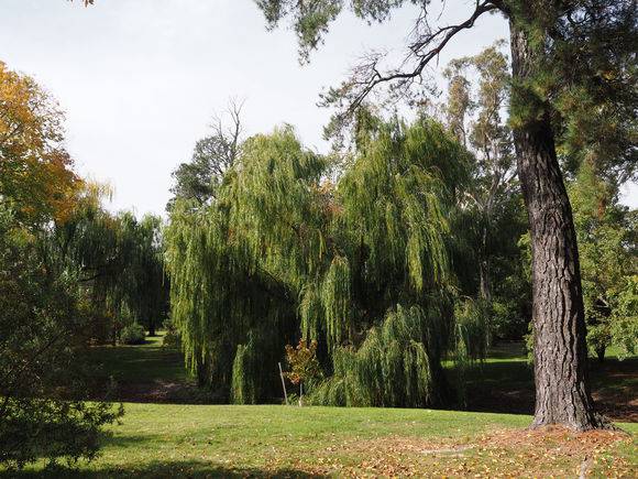 MALMSBURY BOTANIC GARDENS 2020