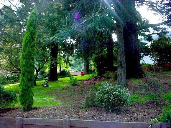 Warburton Hospital Grounds